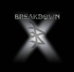 logo Breakdown (POR)